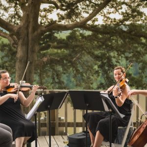 String quartet of two young men and two young women playing conc